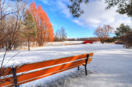 * Winter * - winter, nature, park, snow