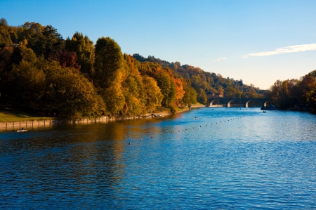 * Lake * - trees, nature, autumn, lake, forest