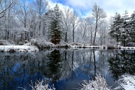 Early winter - landscape, snow, reflection, shore, view, frost, lake, early, sky, trees, winter, beautiful, lovely, ice, frozen, nature, cold