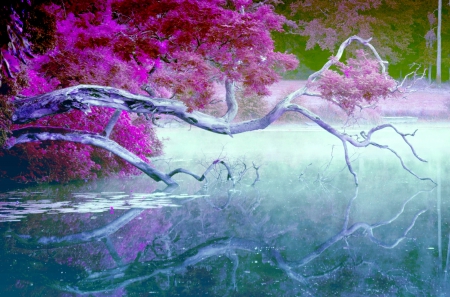 PINK of AUTUMN - leaves, lake, pink, branch