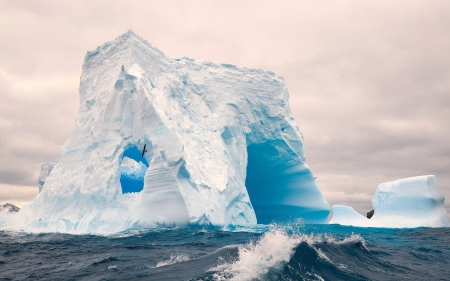 Iceberg - iceberg, nature, bird, large