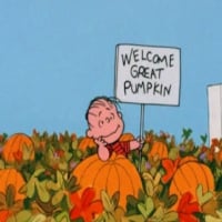 Linus Waiting For The Great Pumpkin