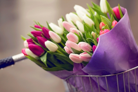 For you...JACQELINEla!!! - tulips, bike, drops, rain