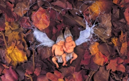 Autumn Angels - leaves, anne, forest, geddes