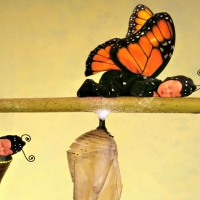 Metamorphosis