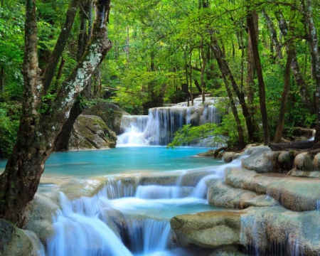 Forest Waterfalls - nature, waterfalls, forest, trees