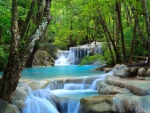 Forest Waterfalls