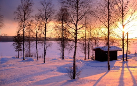 Winter Landscape - winter, fields, landscapes, trees, snow