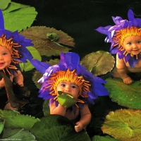 Flower Babies