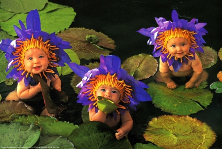 Flower Babies - Geddes, Anne, Flower, Babies