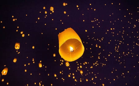 Chinese Lantern - festival, night, light, lantern