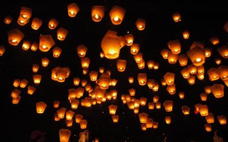 Chinese Lantern - night, lantern, festival, light