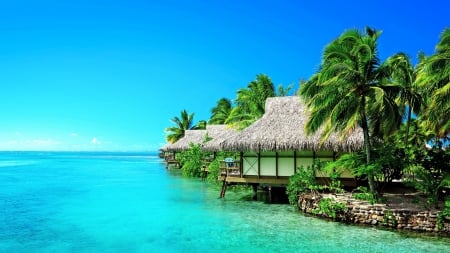 Nice Place - beach, trees, nature, cottages