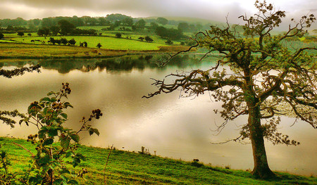 Misty morning - lakes, nature