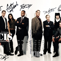 NCIS The Team