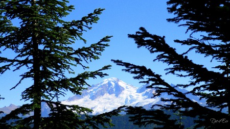 Mount Baker - sky, mountains, washington, widescreen, trees