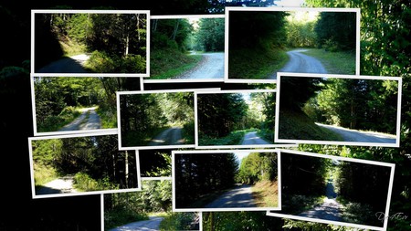 Curves Ahead - widescreen, curves, fall, roads, mountains, washington