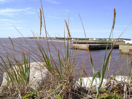 Untitle - sky, water, grass, blue