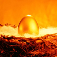 Golden Nest Egg