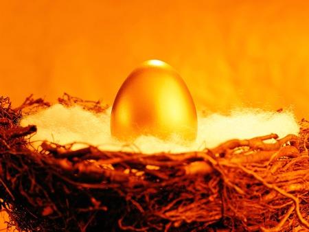 Golden Nest Egg - basket, nest egg, gold, savings, future