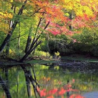 Autumn Lake