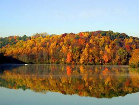 Autumn Reflections - lake, forest, autumn colours, reflection