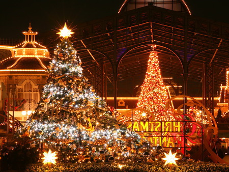 Christmas Star - christmas tree, star, decorations, night, lighting, buildings