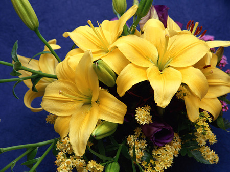 Yellow Lilies - bouquet, yellow lilies