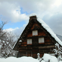 Log Cabin