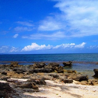 Rocky shore