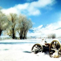 Wagon in the snow