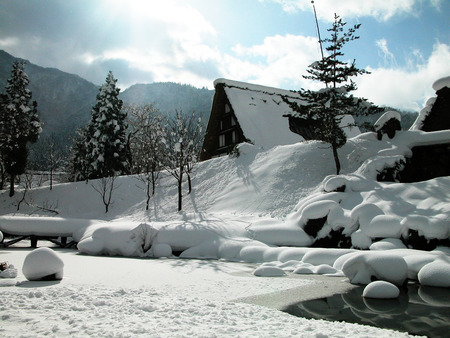 Winter's Snow - winter, deep snow, houses, pine trees