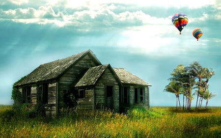 BALOON TRAVELS - house, plank, balloons, palmtrees, grass, field, creep plants