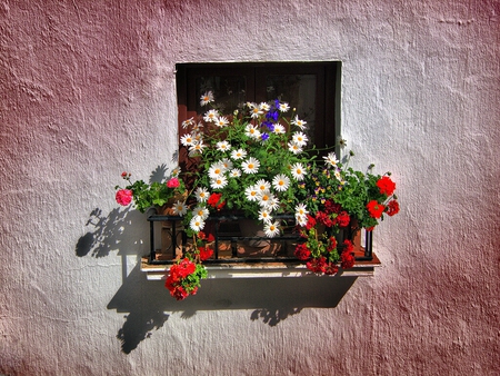 balcon de flores - balcony, flowers, pink