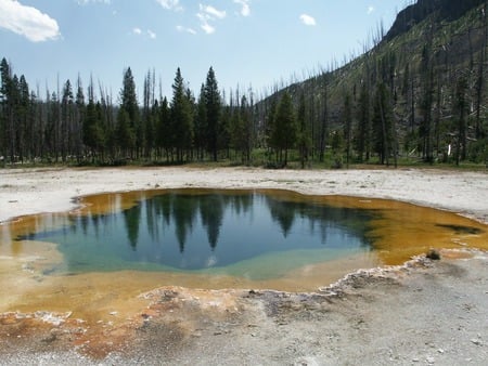 Yellowstone National Park - national park, america, forest, mountains, pool of water