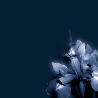 Blue Flower