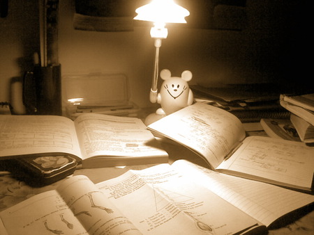 Midnight Oil - night, night lamp, study, studious