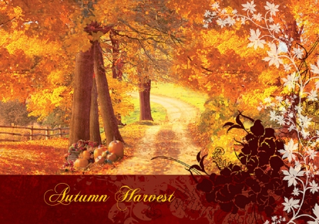 Autumn Harvest - fall leaves, nature, autumn, harvest, forest