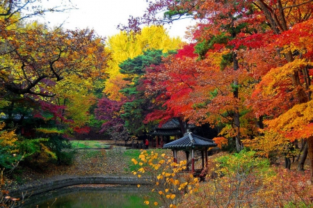 Autumn park - autumn, trees, park, lovely, gazebo, foliage, nature, fall, forest, walk, beautiful, colors