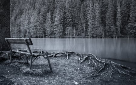 Mysterious Lake - nature, bench, lake, trees