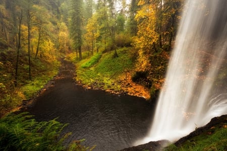 Waterfall - fall, river, nature, waterfall, autumn, autumn splendor, forest, woods