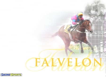 Falvelon - Melbourne, Cup, Falvelon, Horse