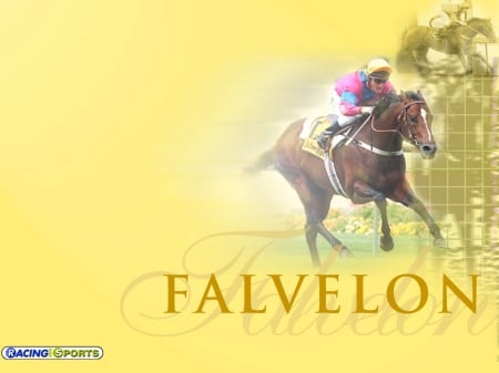 Falvelon - melbourne, horse, falvelon, cup