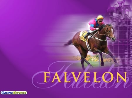 Falvelon - Melbourne, Cup, Falvelon, Horse