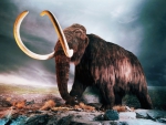 woolly mammoth