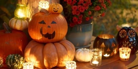 Halloween~Autumn Still Life - vase, Autumn, pumpkins, Fall, gourds, table, Halloween, still life, lantern, flowers, owl, jack o lanterns, candles