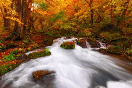 Autumn stream - beautiful, creek, stream, forest, fall, colorful, nature, autumn, serenity