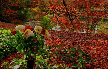 Autumn Bouquet - flowers, trees, nature, autumn, ponds, bouquet, leaves