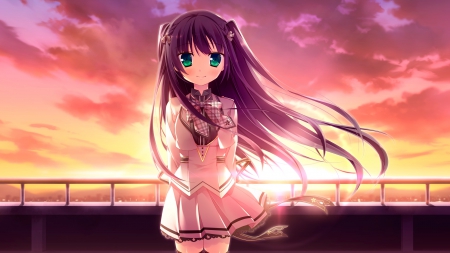 Dawn - pretty, anime, kawaii, female, evening, scene, dress, sunrise, light, long hair, dawn, hd, nice, purple hair, sky, gown, anime girl, beautiful, girl, beauty, lovely, sweet, cg, glow, standing, blouse, sunset, stand, cloud, cute, adorable