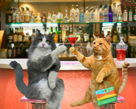 Cheers Kitty - cute, pet, animals, cat